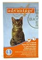 6 MONTH Advantage Orange for cats under 9 lbs.