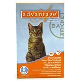 6 MONTH Advantage Orange for cats under 9 lbs. by Advantage