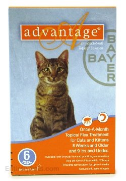6 MONTH Advantage Orange for cats under 9 lbs.