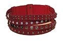 Bella Interlaced Studded Stretch Waist Dress Belt in Red -- SwankySwans