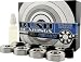 Rush All-Weather Ceramic Skateboard Bearings