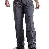 Dickies Redhawk Action Trouser Short