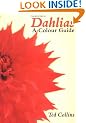 Dahlias: A Colour Guide