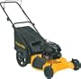 Electrolux 961320050 3n1 Hi-wheel Push Mower 21"