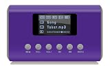 Visual Land ME-909-PRP Mini MP3 Boombox Speaker for MicroSD/SD/USB Flash/Line In & Out/FM Radio (Purple)
