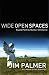  : Wide Open Spaces: Beyond Paint-by-Number Christianity