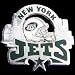 Glossy NFL Team Pin - New York Jets