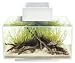 Fluval Edge, 6 gallon Aquarium with 21-LED Light, White