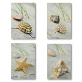 Beach Seashells Conch Starfish Wall Art 4 Prints Decor