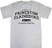 Fox House M.D. Property of Princeton Plainsboro Gray T-Shirt Tee, Large