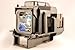 NEC VT75LP OEM Projector LAMP Equivalent with HOUSING