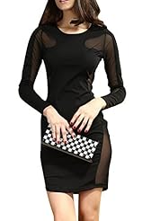 Sexy Spring Polyester Long Sleeves Mesh  Dress