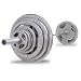 Body Solid OST255 Grey Hand Grip Olympic Plates (255-Pounds)