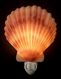 Flowers of Light Night Lights Scallop Shell