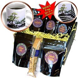 Trees - Bonsai Tree - Coffee Gift Baskets - Coffee Gift Basket