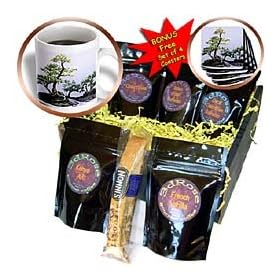 Trees - Bonsai Tree - Coffee Gift Baskets - Coffee Gift Basket