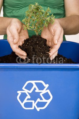 Wallmonkeys Peel and Stick Wall Decals - Hands Holding Small Tree over Recycling Bin Filled with Soil - 60