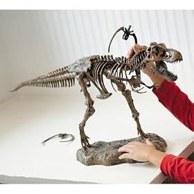T-Rex Skeleton Model by Elenco