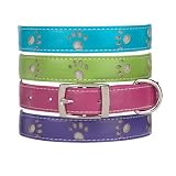18 Inch - BlueBird - Zack and Zoey Sparkle Paw Dog Collars