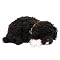 Perfect Petzzz Plush - Portuguese Water Dog