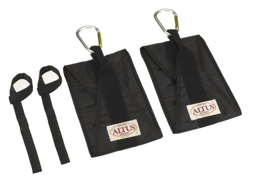 Altus Athletic AHAS Hanging Ab Sling