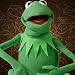 Kermit The Frog Photo Puppet Replica