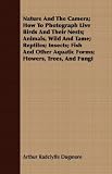 Nature And The Camera; How To Photograph Live Birds And Their Nests; Animals, Wild And Tame; Reptiles; Insects; Fish And Other Aquatic Forms; Flowers, Trees, And Fungi