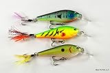 Lot of 3 Shallow Diving 3.5" Fishing Lure Crankbaits for Smallmouth Bass, Trout, and White Bass with Matching Tail