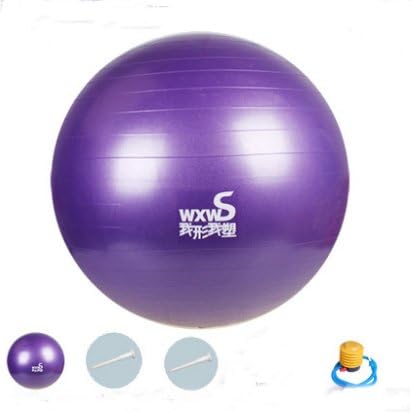 Zebratown 55cm Purple Fitness Exercise and Stability Ball