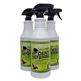 How to Keep Mice, Rats and Other Rodents Out of Your Car Engine