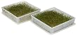 Victorio VKP1046 Square Two-Tray Kitchen Garden Sprouter