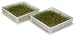 Victorio VKP1046 Square Two-Tray Kitchen Garden Sprouter