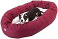40 inch Burgundy & Sherpa Bagel Dog Bed By Majestic Pet Products