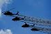 Silhouetted Helicopters - 24