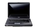 Toshiba Satellite L300-20D 15.4 inch Laptop,  Intel Celeron T1600 1.66 GHz, 1 GB RAM, 160 GB HDD, Vista Home Basic