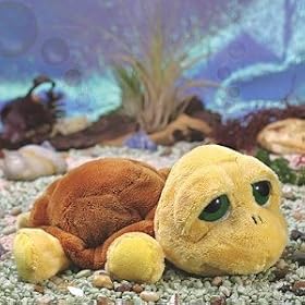 Shelly Tortue De Peluche