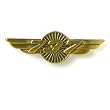737 Wings Pin