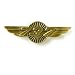 737 Wings Pin