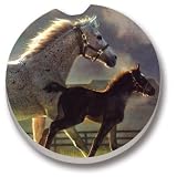 Horses, A Brand New Hope Car Coasters - 2 Pack