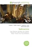 Salmacisia: Fungi, Tilletiaceae, Monotypic, Pistil, Tilletiales, Hermaphroditic, William Ashbrook Kellerman, Walter T. Swingle, Smut Fungi, Buffalograss