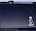 Weimaraner Dog vinyl decal small