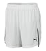 PUMA Herren Teamsport Speed Shorts w. innerbrief, white-black, M