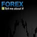 Forex - A Quick Guide to Trading Forex