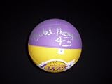 GAI Authentic Mychal Thompson Autograph Los Angeles Lakers Logo Mini Basketball