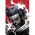 Wolverine: Soultaker (X-Men)