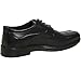Alpine Swiss Men's Dress Shoes Leather Lined Lace up Oxfords Baseball Stitched