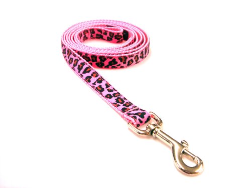 Small Fruit Punch Leopard Dog Leash - Nylon Webbing: 3/4