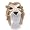 Lion Design