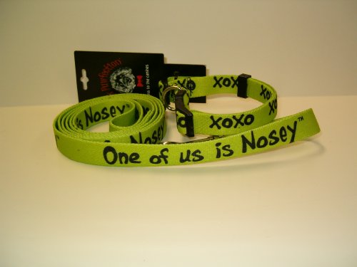 Dog Collar and Leash Set