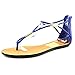 Dolce Vita Marnie Women Open Toe Synthetic Blue Thong Sandal
